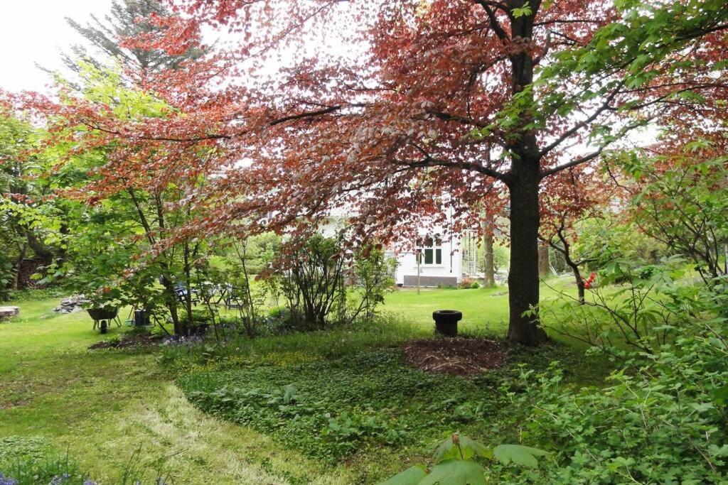 Charming Flat In Cosy Farmhouse Skudeneshavn Bagian luar foto